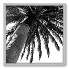Quadro Decorativo - Coqueiro - 70cm X 70cm - 039qnpdb