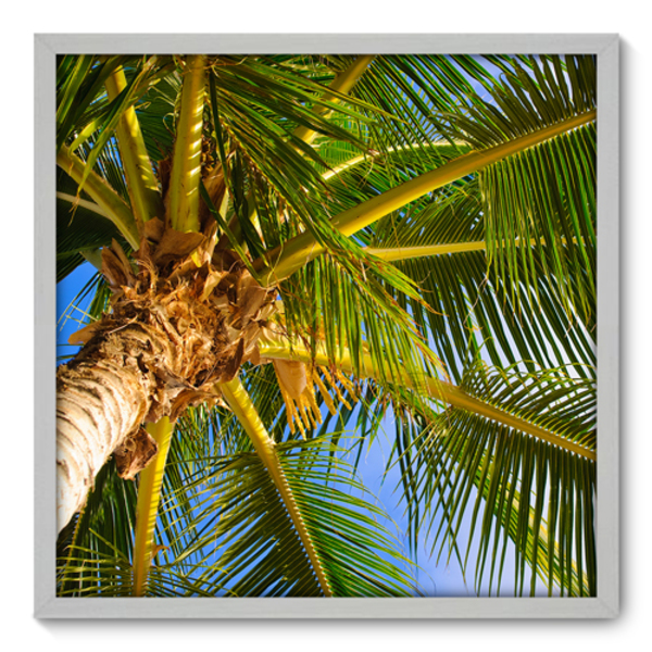 Quadro Decorativo Coqueiro 70cm X 70cm 045qnddb Leroy Merlin