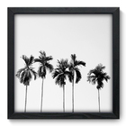 Quadro Decorativo - Coqueiros - 33cm X 33cm - 033qnpbp