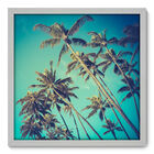 Quadro Decorativo - Coqueiros - 50cm X 50cm - 031qnpcb