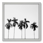 Quadro Decorativo - Coqueiros - 50cm X 50cm - 033qnpcb