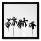 Quadro Decorativo - Coqueiros - 50cm X 50cm - 033qnpcp