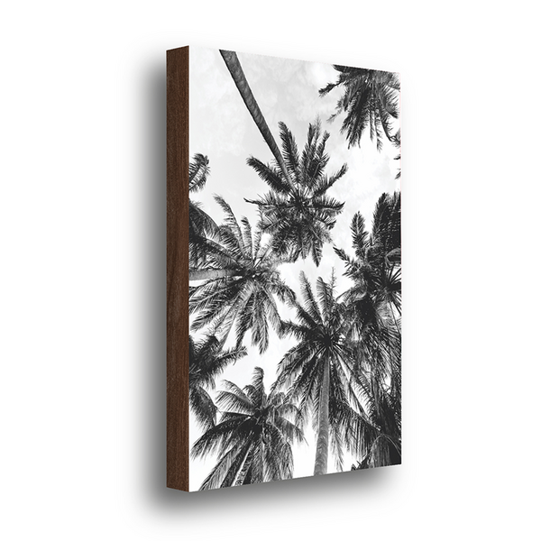 Quadro Decorativo Coqueiros Preto E Branco 40x60cm