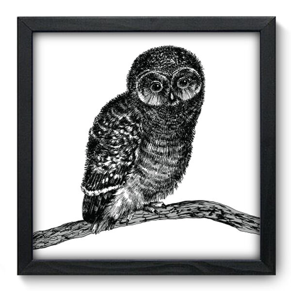 Quadro Decorativo - Coruja - 33cm X 33cm - 051qdsp