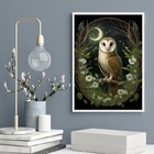Quadro Decorativo Coruja Ao Luar 45x34cm Moldura Branca