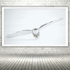 Quadro Decorativo Coruja Branca Neve Voo  - 70x50cm Moldura B