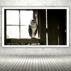 Quadro Decorativo Coruja De Celeiro  - 70x50cm Moldura Branca