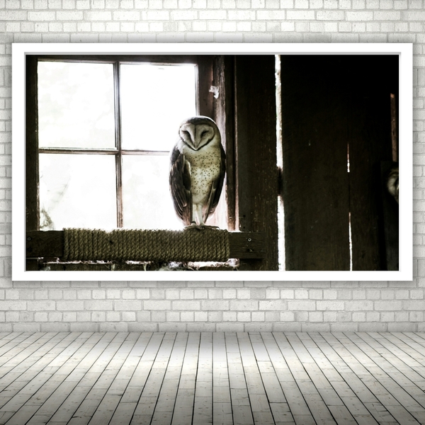 Quadro Decorativo Coruja De Celeiro  - 70x50cm Moldura Branca