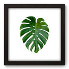 Quadro Decorativo - Costela De Adão - 22cm X 22cm - 073qndap