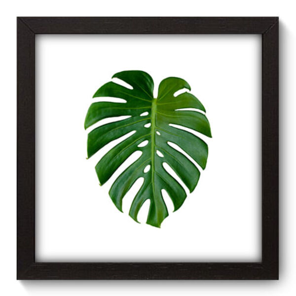 Quadro Decorativo - Costela De Adão - 22cm X 22cm - 073qndap