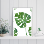 Quadro Decorativo Costela De Adão 30x45 P/ Amb