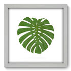 Quadro Decorativo - Costela De Adão - 33cm X 33cm - 072qndbb