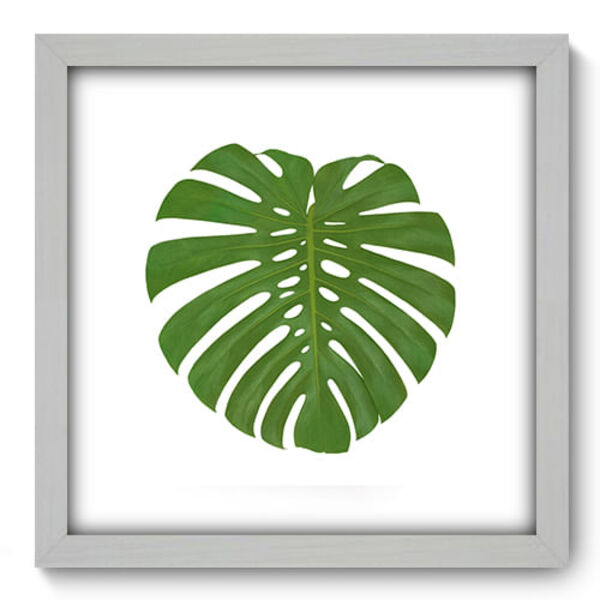 Quadro Decorativo - Costela De Adão - 33cm X 33cm - 072qndbb