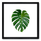 Quadro Decorativo - Costela De Adão - 50cm X 50cm - 073qndcp