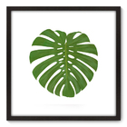 Quadro Decorativo - Costela De Adão - 70cm X 70cm - 072qnddp