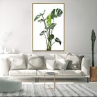 Quadro Decorativo Costela De Adão Moderno Com Moldura E Sem V