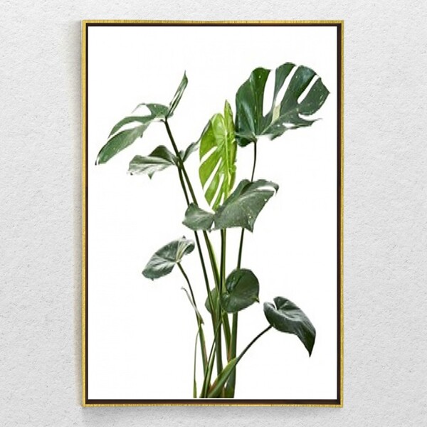 Quadro Decorativo Costela De Adão Moderno Com Moldura E Sem V