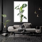 Quadro Decorativo Costela De Adão Moderno Com Moldura E Sem V