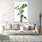 Quadro Decorativo Costela De Adão Moderno Com Moldura E Sem V