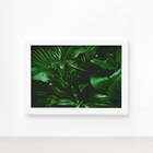 Quadro Decorativo Costela de Adão Moldura Branca 33x43cm