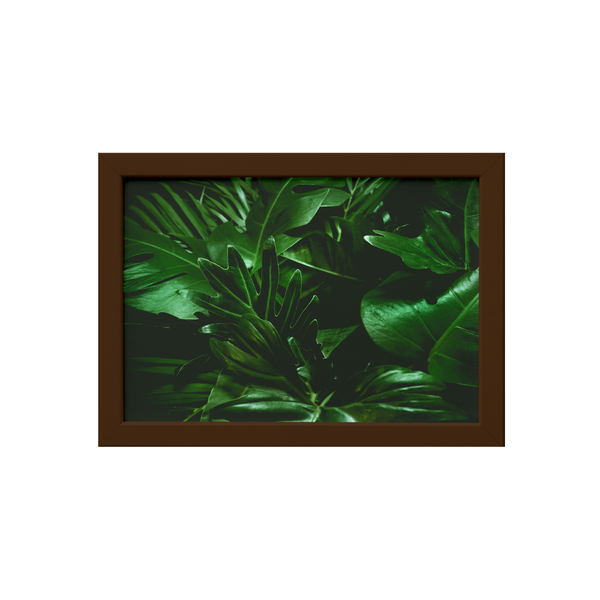 Quadro Decorativo Costela De Adao Moldura Marrom 22x32cm Leroy Merlin