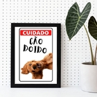 Quadro Decorativo Cuidado Cão Doido 33x24cm Moldura:madeira P