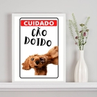 Quadro Decorativo Cuidado Cão Doido 45x34cm - Com Vidro Moldu