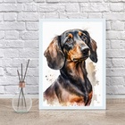 Quadro Decorativo Dachshund Aquarela 45x34cm Moldura:madeira
