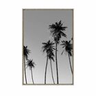 Quadro Decorativo De Canvas Palm Beach B 60 X 90 Cm - Visage