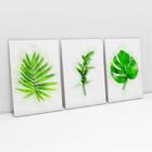 Quadro Decorativo De Folhas Com Efeito De Pintura 3 Telas