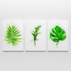 Quadro Decorativo De Folhas Com Efeito De Pintura 3 Telas