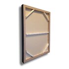 Quadro Decorativo De Vidro Leão De Judá