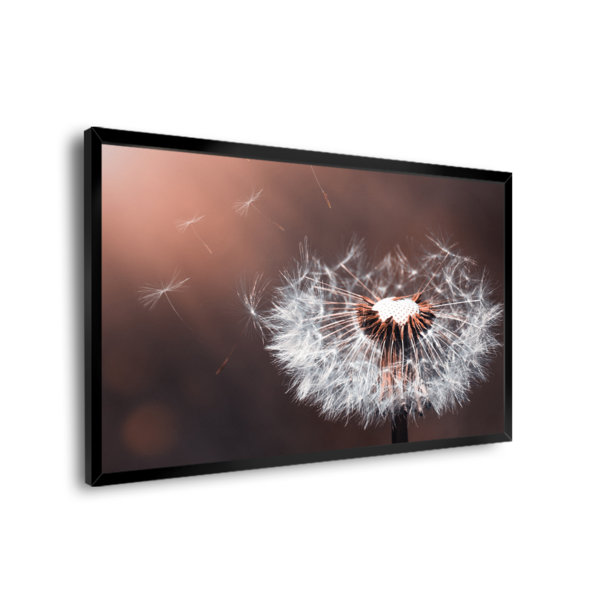 Quadro Decorativo Dente-de-leão