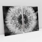 Quadro Decorativo Dente De Leão Em Preto E Branco 2 Telas