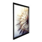 Quadro Decorativo Dente de Leão Esquerdo 70x100cm Preto