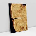 Quadro Decorativo Detalhes Da Natureza Interior Da Árvore 1 T