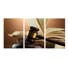 Quadro Decorativo Direito Advogado 70x150 Trio