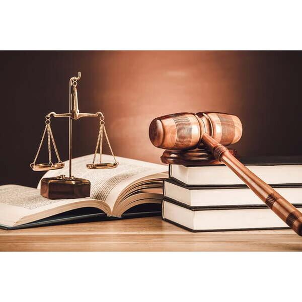 Quadro Decorativo Direito Malhete, Livros E Balança 1 Tela