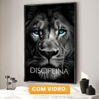 Quadro Decorativo Disciplina Foco Execução 60x90cm Leão Tigre