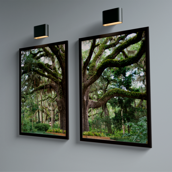 Quadro Decorativo Dupla Árvore No Parque