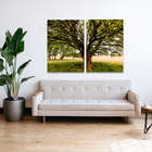 Quadro Decorativo Dupla Beautiful Tree