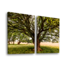 Quadro Decorativo Dupla Beautiful Tree