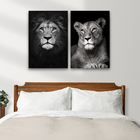 Quadro Decorativo Dupla Leão E Leoa