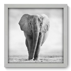 Quadro Decorativo - Elefante - 33cm X 33cm - 002qnsbb