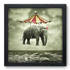 Quadro Decorativo - Elefante - 33cm X 33cm - 006qnsbp