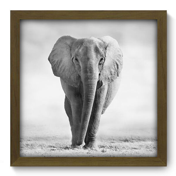 Quadro Decorativo - Elefante - 33cm X 33cm - 076qdsm
