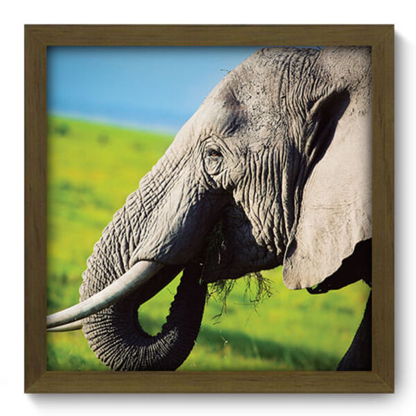 Quadro Decorativo - Elefante - 33cm X 33cm - 119qdsm