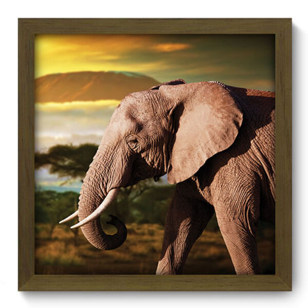 Quadro Decorativo - Elefante - 33cm X 33cm - 124qdsm