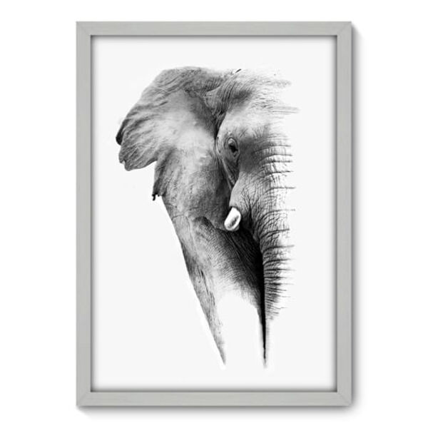 Quadro Decorativo - Elefante - 50cm X 70cm - 040qnsdb