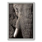 Quadro Decorativo - Elefante - 50cm X 70cm - 041qnsdb